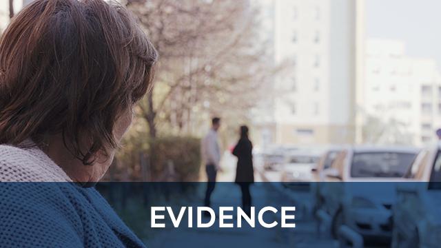 EVIDENCE - Film artistik