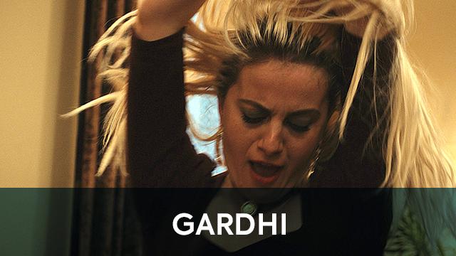 Gardhi - Film artistik